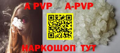 гашик Берёзовский