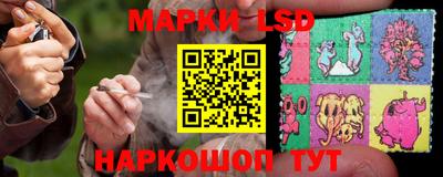 гашик Берёзовский