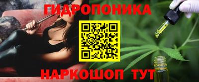 амф Бийск