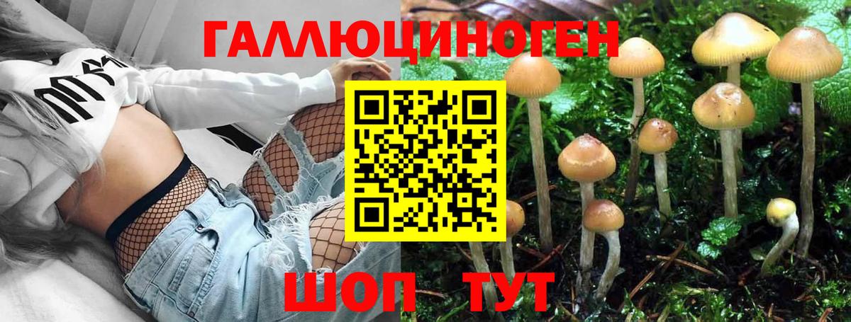 Зеленодольск  Галлюциногенные грибы Psilocybine cubensis  Вход с VPN 